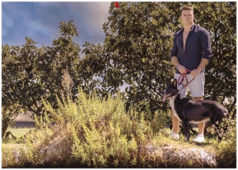 Viterbo - Il calendario per i cani in difficoltà