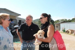 Il sopralluogo al canile di Bagnaia del vicesindaco Luisa Ciambella