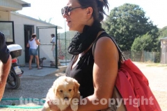 Il sopralluogo al canile di Bagnaia del vicesindaco Luisa Ciambella