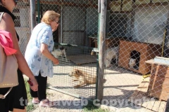 Il sopralluogo al canile di Bagnaia del vicesindaco Luisa Ciambella