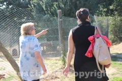 Il sopralluogo al canile di Bagnaia del vicesindaco Luisa Ciambella