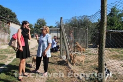 Il sopralluogo al canile di Bagnaia del vicesindaco Luisa Ciambella