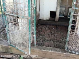 Viterbo - 31 cani sequestrati e salvati dalla Asl e dalla polizia locale - Il canile lager