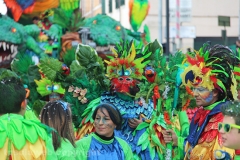 I carri a Civita Castellana