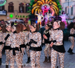 Il Carnevale visto da Alessio Mattei