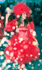 Il Carnevale visto da Alessio Mattei