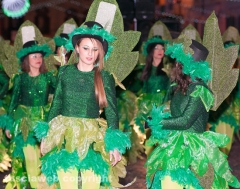 Il Carnevale visto da Alessio Mattei