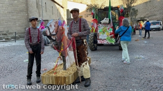 Viterbo - Carnevale 2024