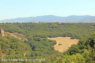 Il castello di Montecalvello