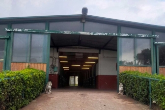 Viterbo - Il centro ippico Sacconi Arabian Stud
