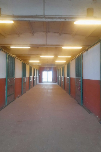 Viterbo - Il centro ippico Sacconi Arabian Stud