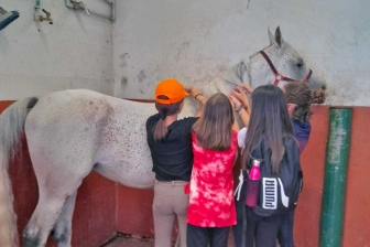 Viterbo - Il centro ippico Sacconi Arabian Stud