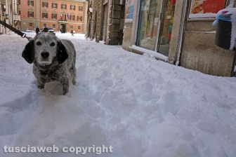 Il centro storico coperto di neve