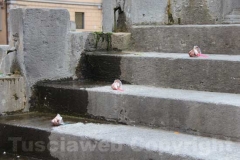 Il centro storico nel degrado