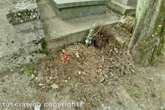Montefiascone - Il degrado al cimitero