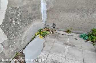 Montefiascone - Il degrado al cimitero