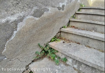Montefiascone - Il degrado al cimitero