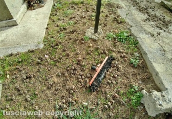 Montefiascone - Il degrado al cimitero