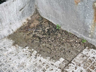 Il cimitero nuovo