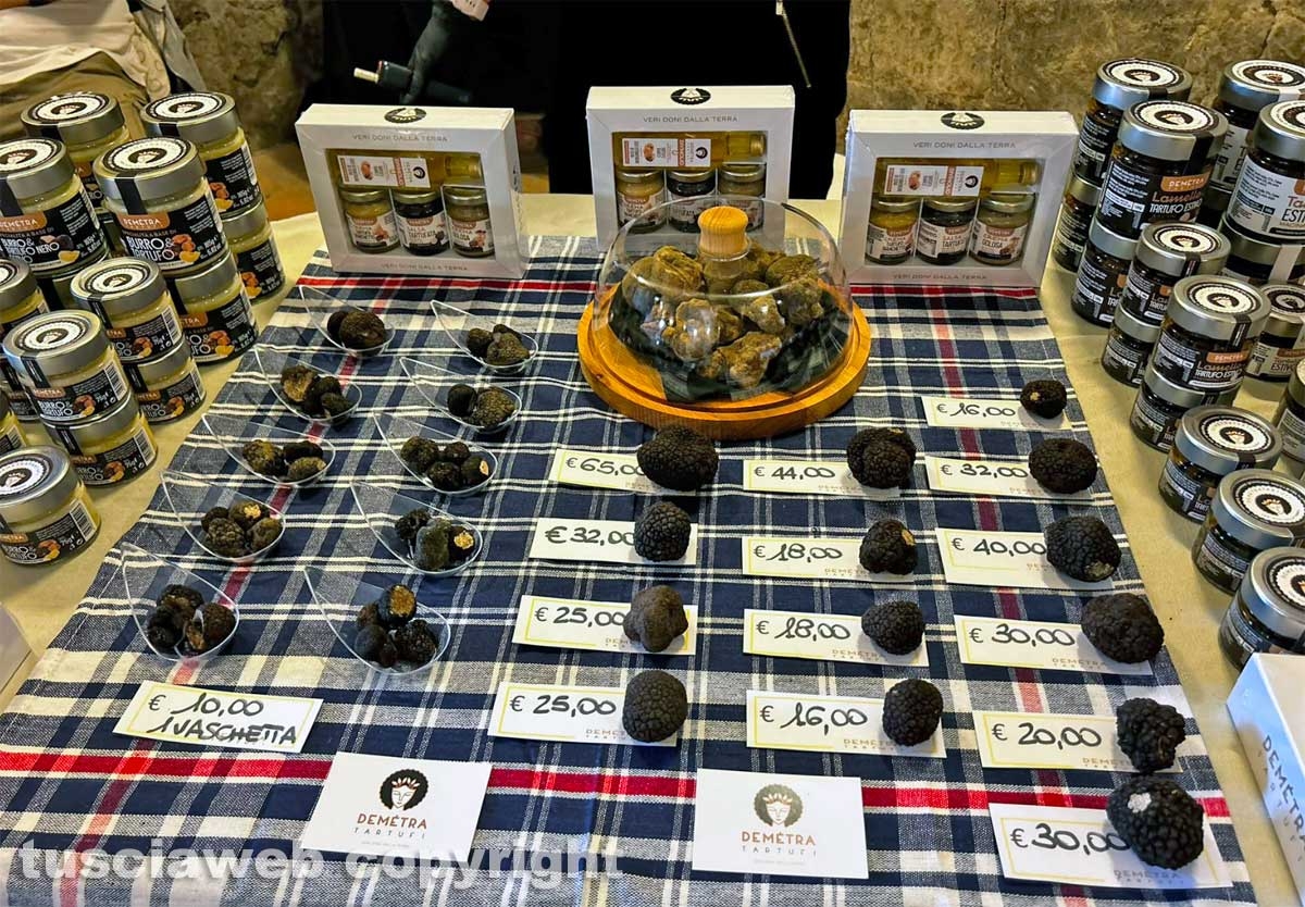 Viterbo - Al via la 17esima edizione del CioccoTuscia