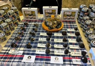 Viterbo - Al via la 17esima edizione del CioccoTuscia