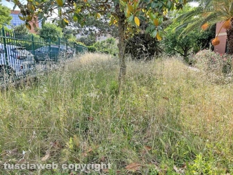 Il comando della Polizia locale invaso dall'erba