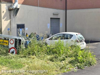 Il comando della Polizia locale invaso dall'erba