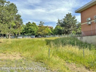 Il comando della Polizia locale invaso dall'erba