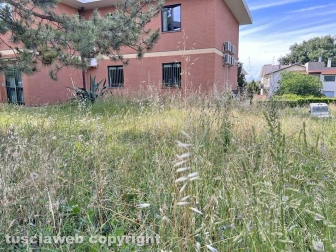 Il comando della Polizia locale invaso dall'erba