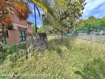 Il comando della Polizia locale invaso dall'erba