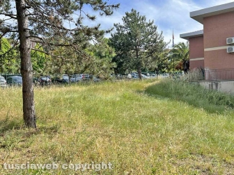 Il comando della Polizia locale invaso dall'erba