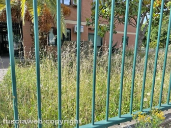 Il comando della Polizia locale invaso dall'erba