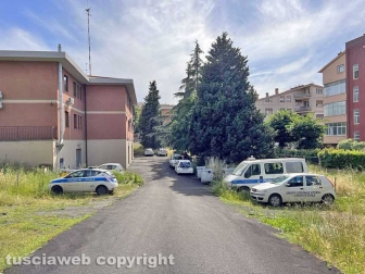Il comando della Polizia locale invaso dall'erba