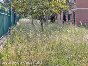 Il comando della Polizia locale invaso dall'erba