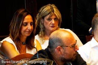 Il consiglio comunale