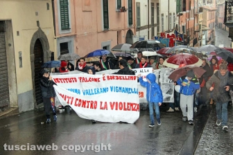 Il corteo antiviolenza