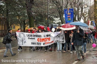 Il corteo antiviolenza