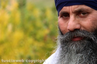 Il corteo dei sikh