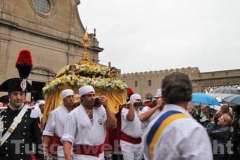 Il cuore di Rosa per le vie della città