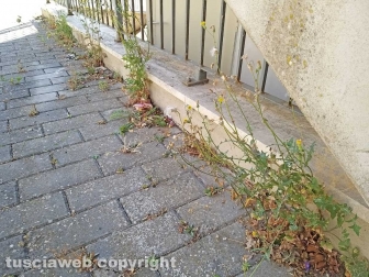 Montefiascone - Degrado al cimitero