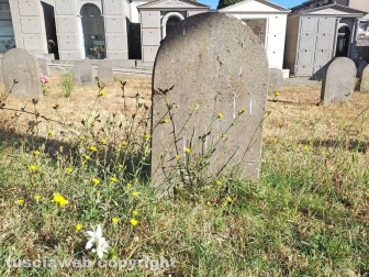 Montefiascone - Degrado al cimitero