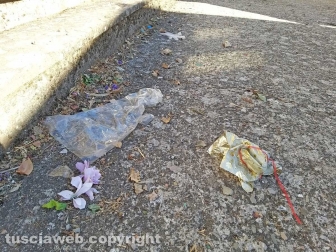 Montefiascone - Degrado al cimitero