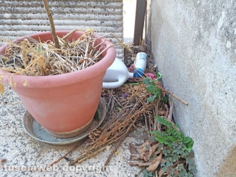 Montefiascone - Degrado al cimitero