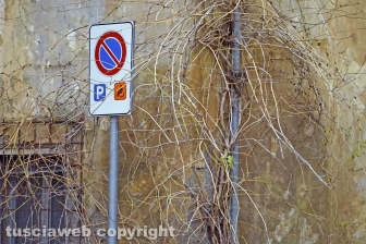 Il degrado dell'ospedale vecchio