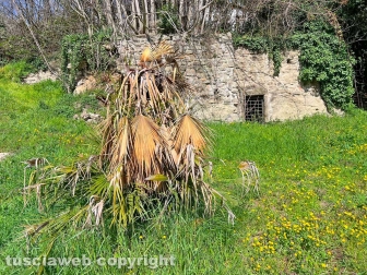 Il degrado di Valle Faul