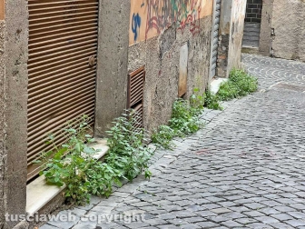 Il degrado di via Mazzini