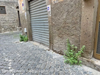 Il degrado di via Mazzini