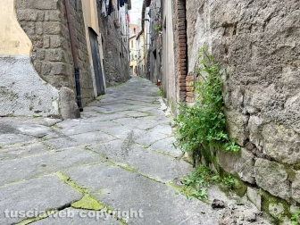Il degrado di via Mazzini