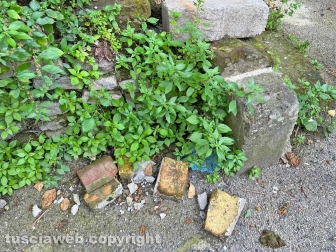 Il degrado di via Mazzini