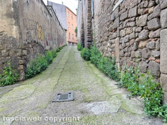 Il degrado di via Mazzini